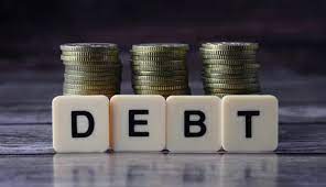 Domestic Debt Exchange Program